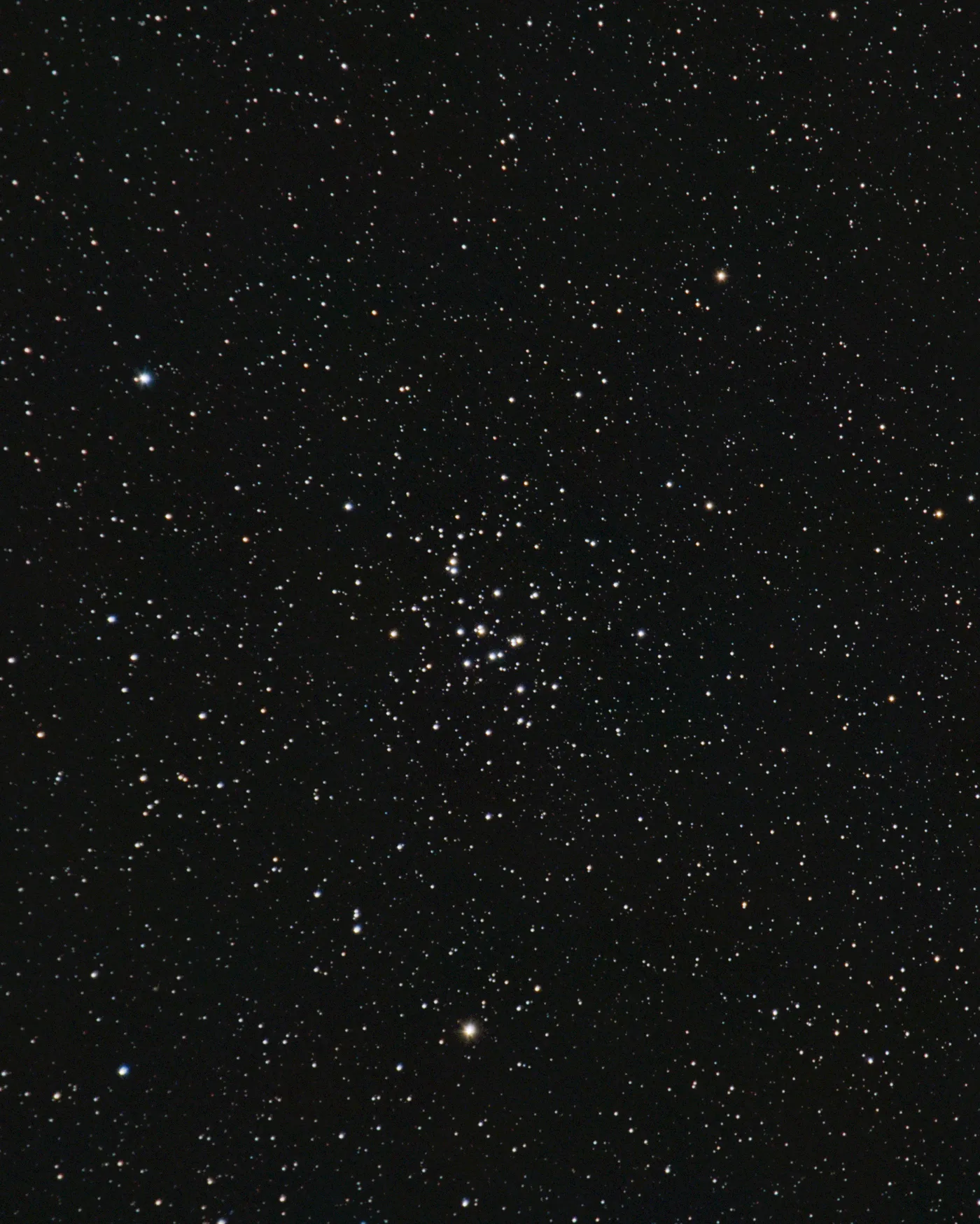 Beehive Cluster M44 photographed from Croatia